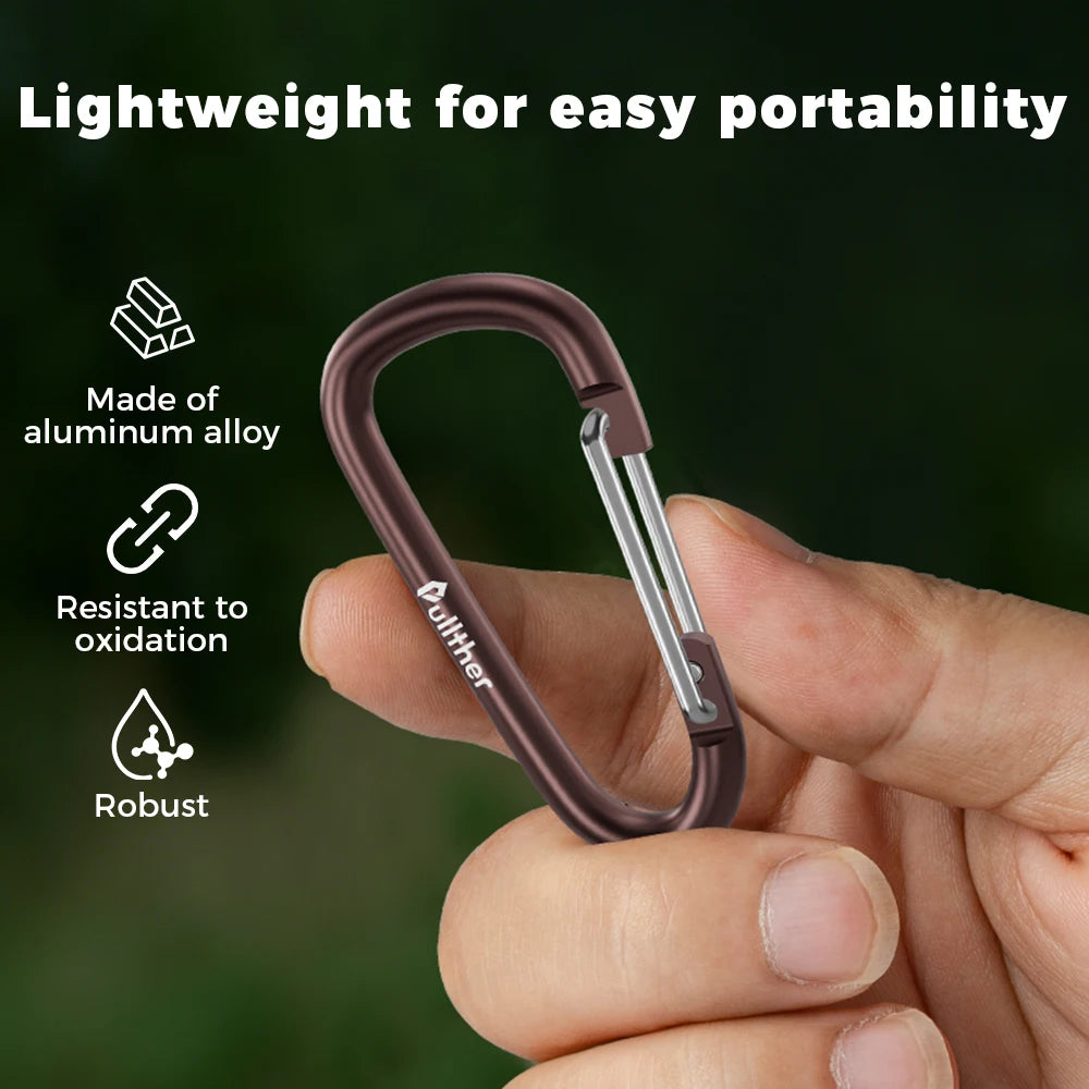 Carabiner Standard