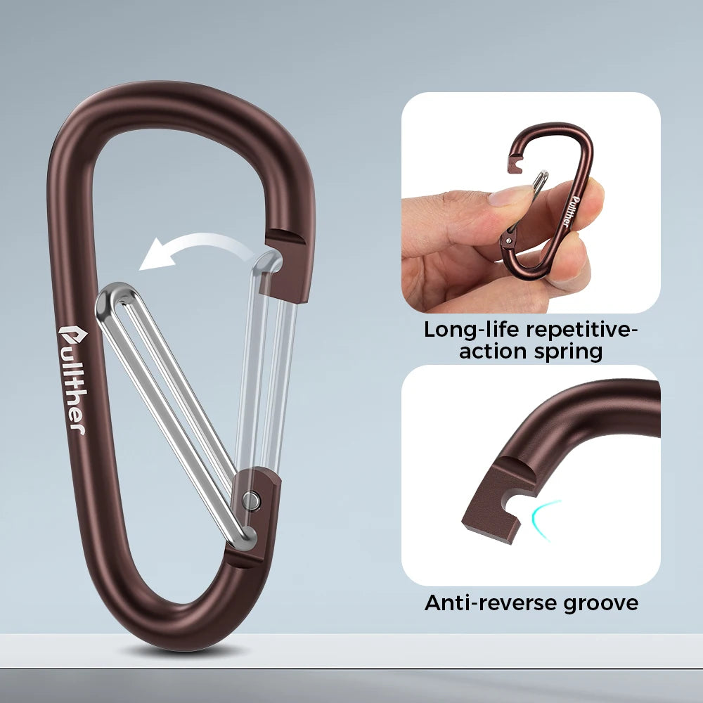 Carabiner Standard